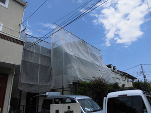 CIMG0711.JPG