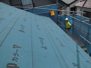 CIMG0756.JPG